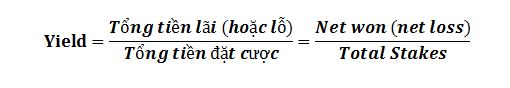 Stake, Yield, Return on Investment (ROI), Profitability trong danh bai Poker hinh anh 3