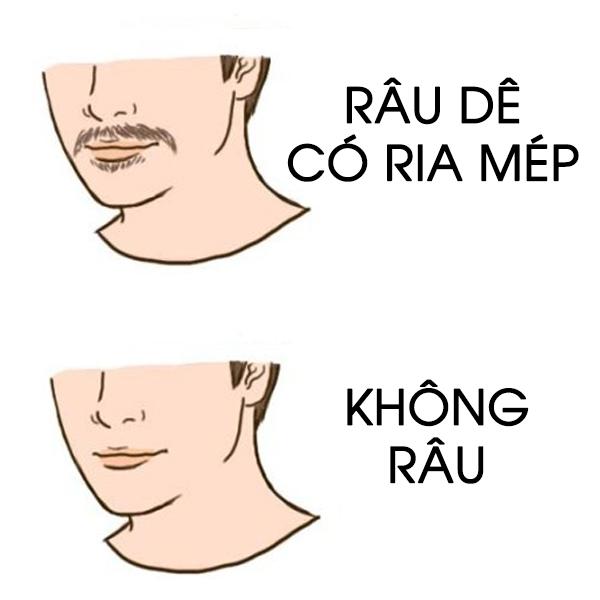 Xem tuong rau dan ong co ria mep