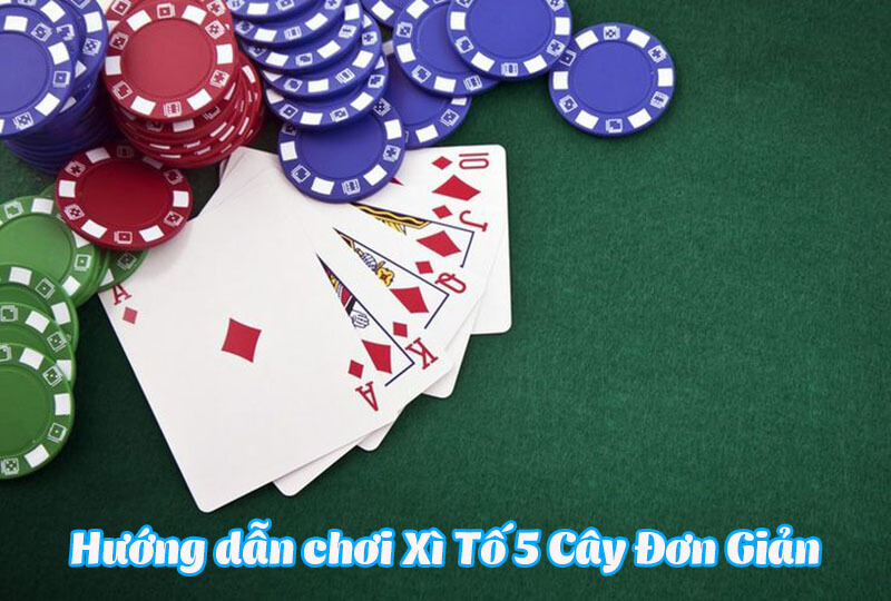 Tip choi bai Xi To 5 cay chinh xac