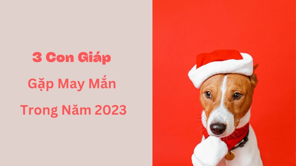 Do may man cua 12 con giap nam 2023