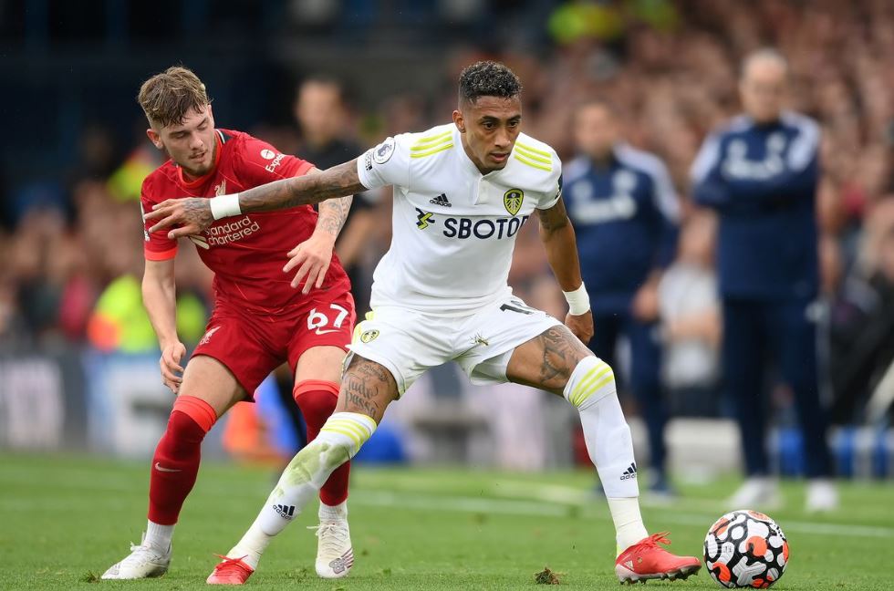 Nhận định tỷ lệ cược Leeds United vs Liverpool tối nay Nhan dinh ty le cuoc Leeds United vs Liverpool toi nay